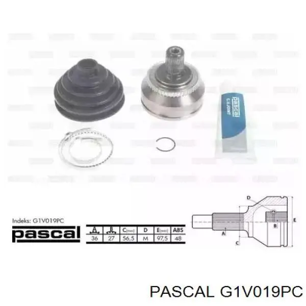 G1V019PC Pascal шрус наружный передний