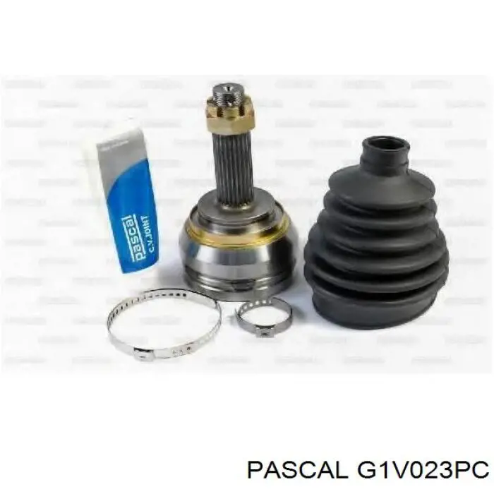G1V023PC Pascal шрус наружный передний