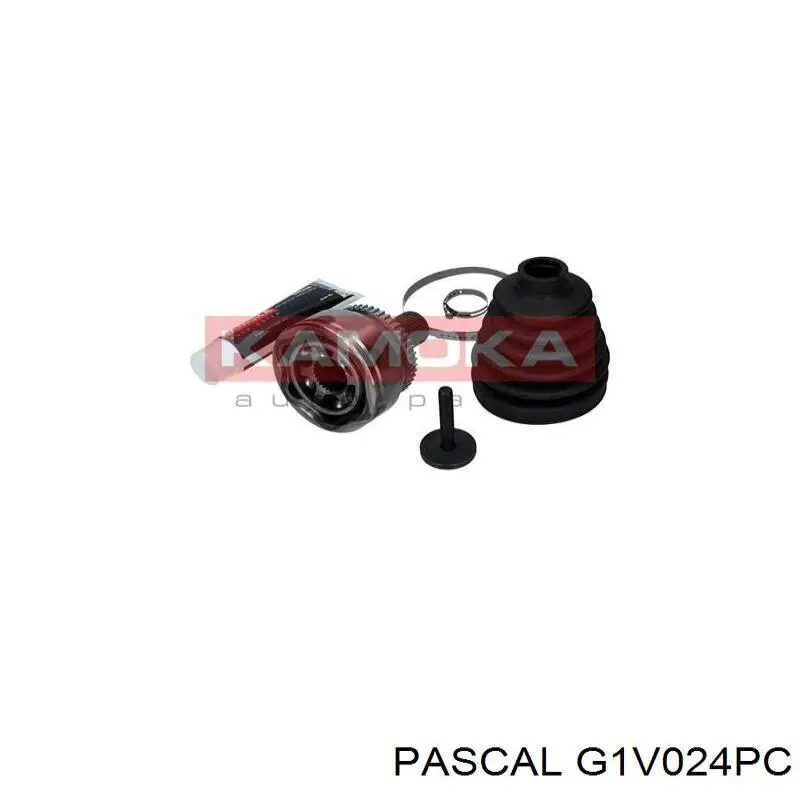 Купить G1V024PC Pascal Внешняя граната