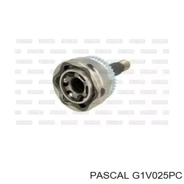 G1V025PC Pascal шрус наружный передний