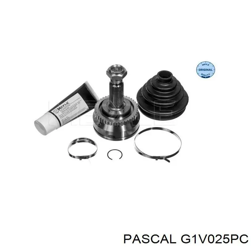 Купить G1V025PC Pascal Внешняя граната