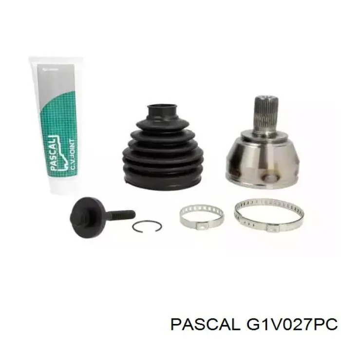  Pascal G1V027PC цена, от 25.46 USD