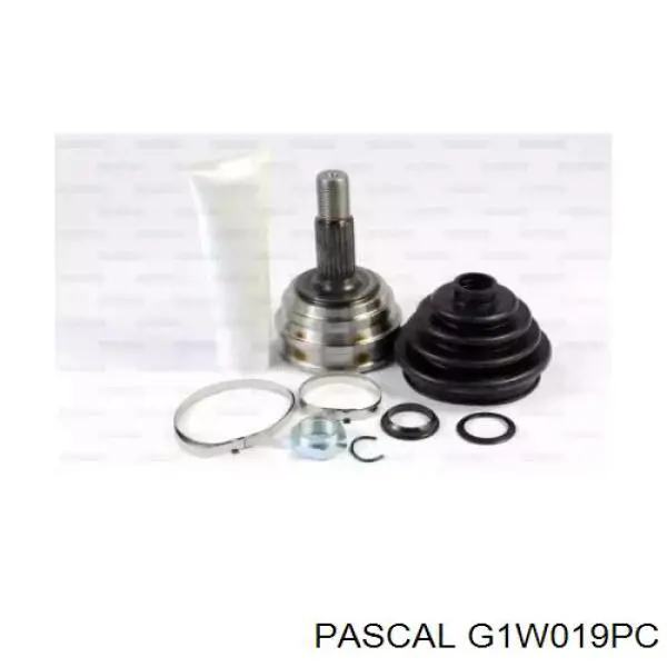 ШРУС наружный передний G1W019PC Pascal