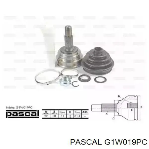 G1W019PC Pascal шрус наружный передний
