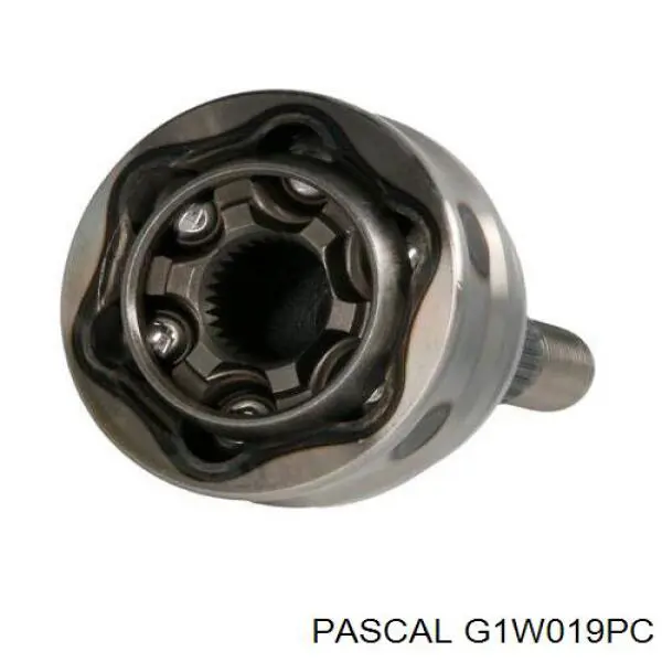 Граната колесная Pascal G1W019PC цена, от 22.49 USD
