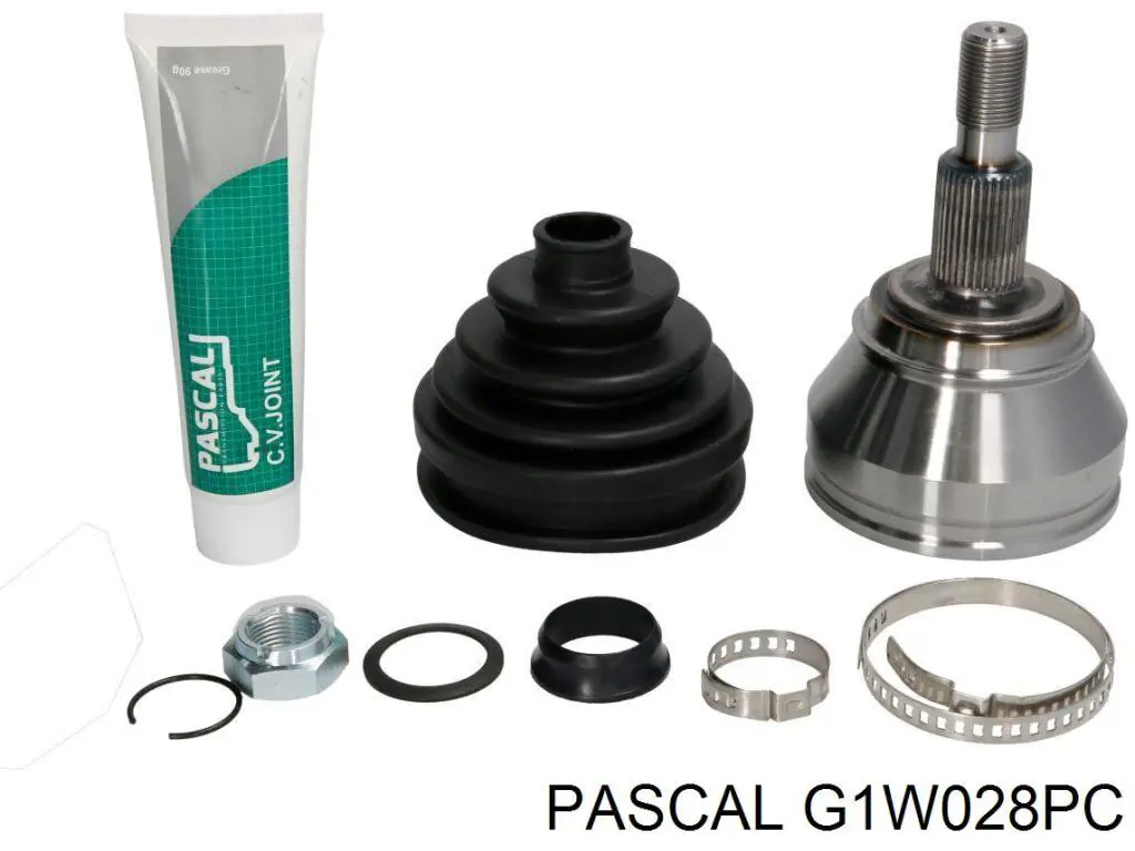 G1W028PC Pascal