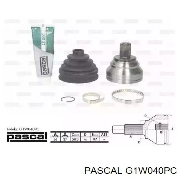 G1W040PC Pascal шрус наружный передний