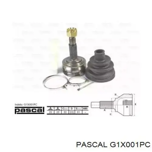 ШРУС наружный передний G1X001PC Pascal