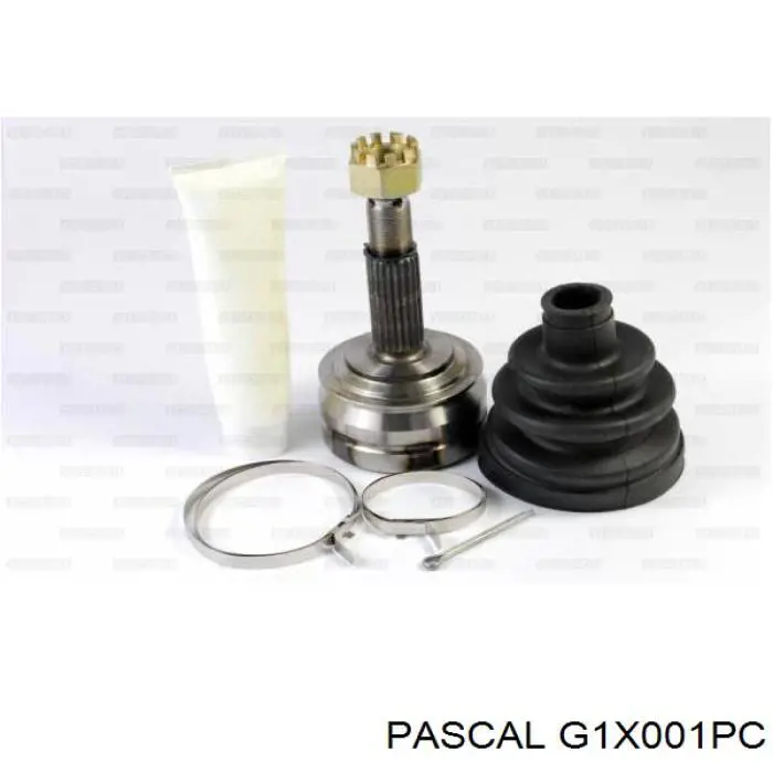 Купить G1X001PC Pascal Внешняя граната