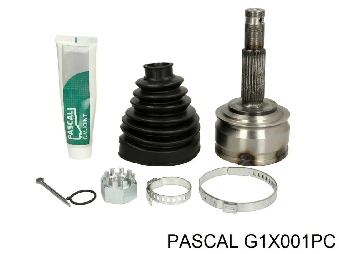 G1X001PC Pascal
