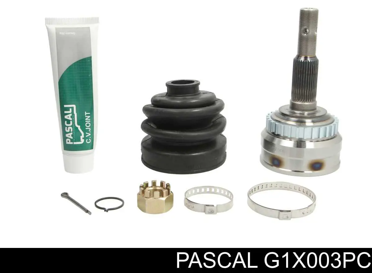 G1X003PC Pascal шрус наружный передний