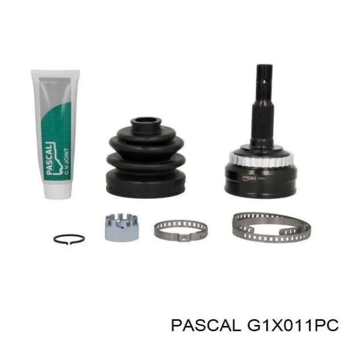 G1X011PC Pascal шрус наружный передний