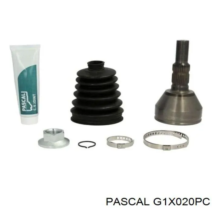 G1X020PC Pascal шрус наружный передний