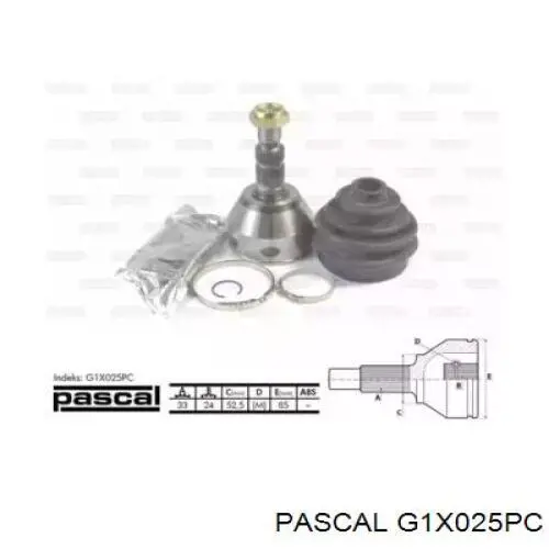 G1X025PC Pascal шрус наружный передний