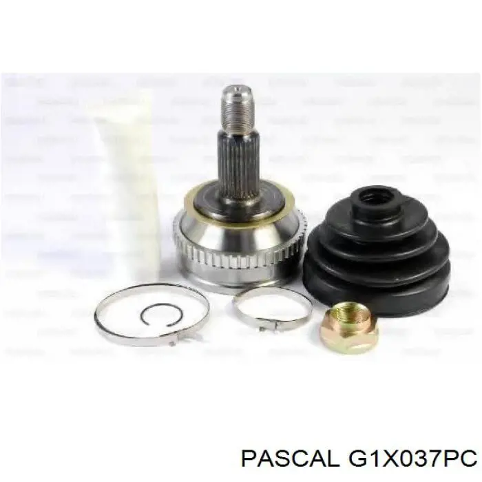 G1X037PC Pascal Наружная граната