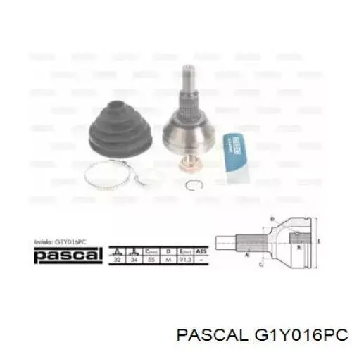 G1Y016PC Pascal