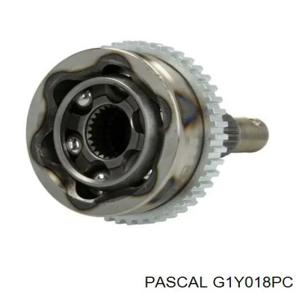 Купить G1Y018PC Pascal 