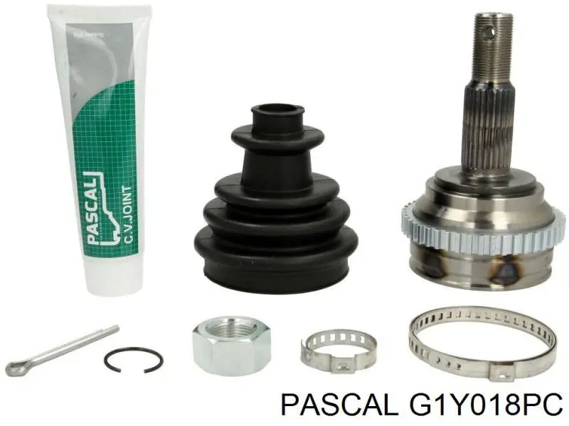G1Y018PC Pascal