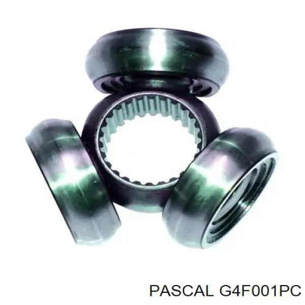 Купить G4F001PC Pascal Тришип