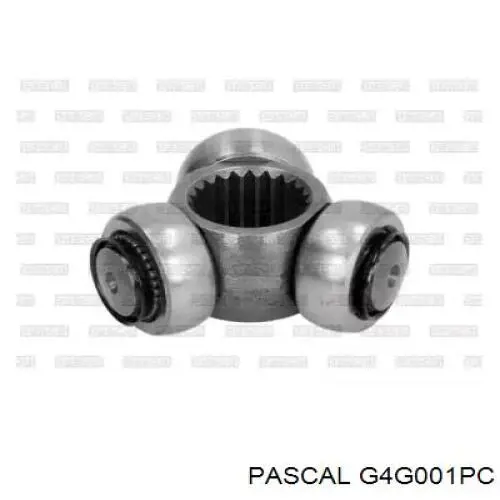 G4G001PC Pascal