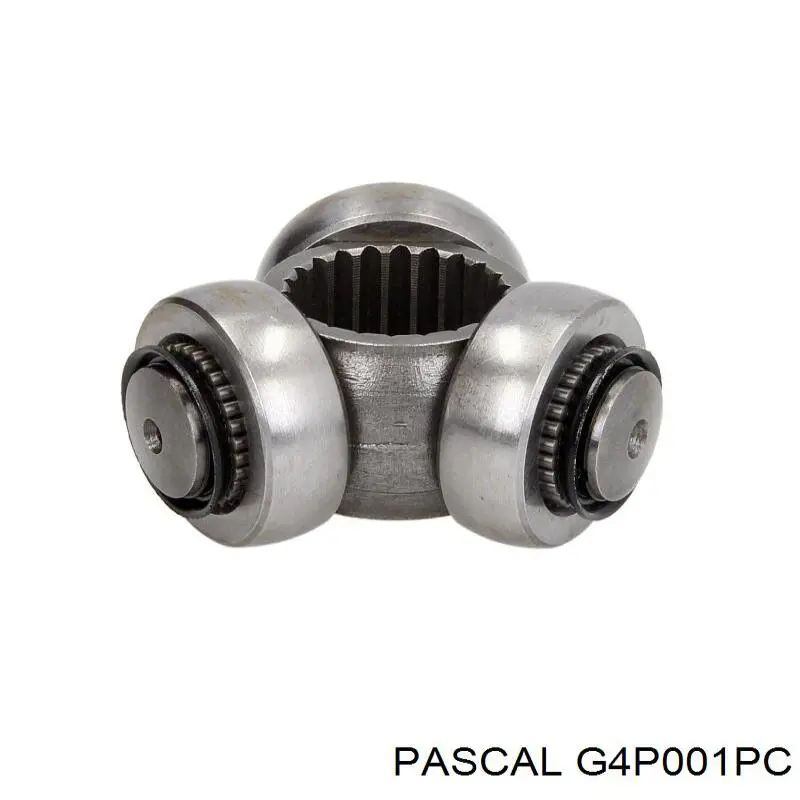 G4P001PC Pascal