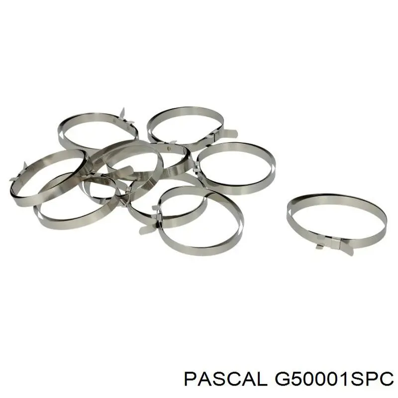  G50001SPC Pascal