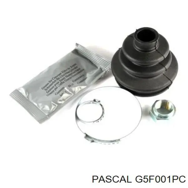 G5F001PC Pascal