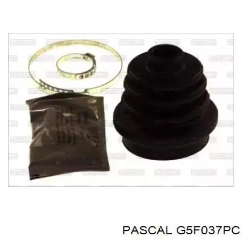 G5F037PC Pascal