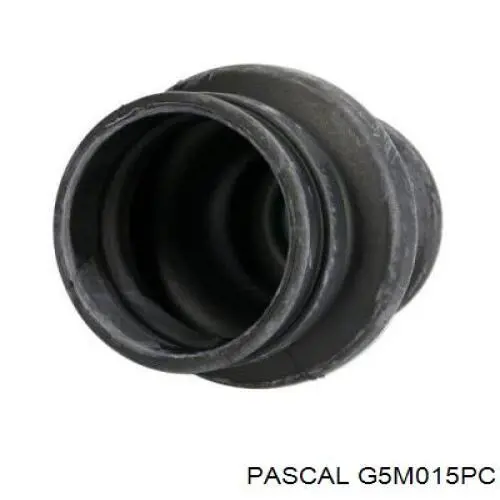 G5M015PC Pascal