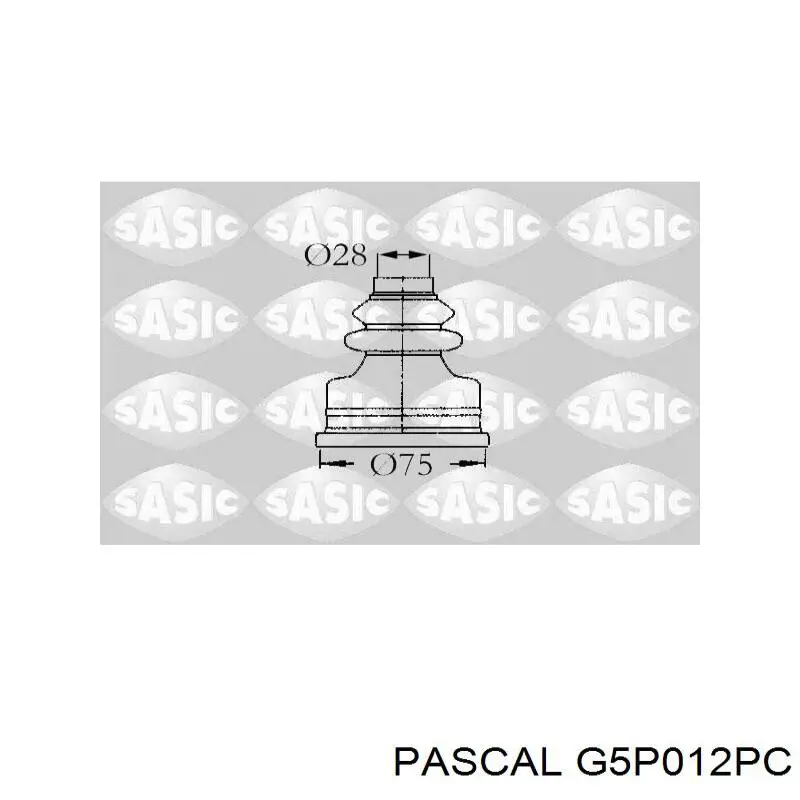 G5P012PC Pascal