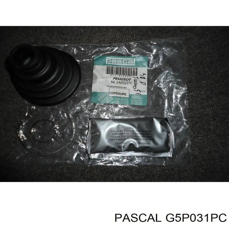 G5P031PC Pascal