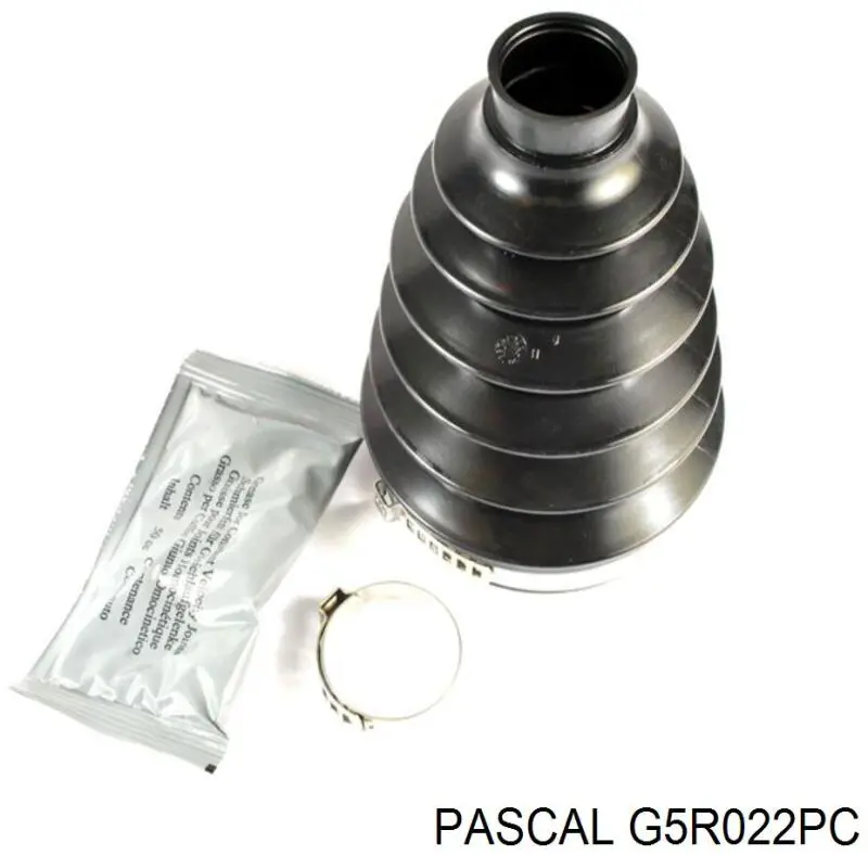 Fuelle, árbol de transmisión delantero exterior G5R022PC Pascal