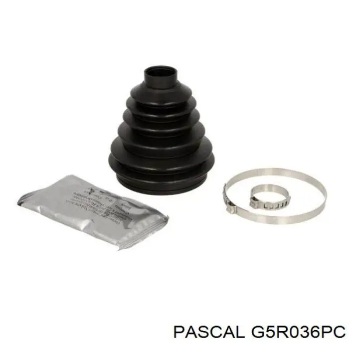 Купить G5R036PC Pascal Пыльник ШРУСа внешний, правый