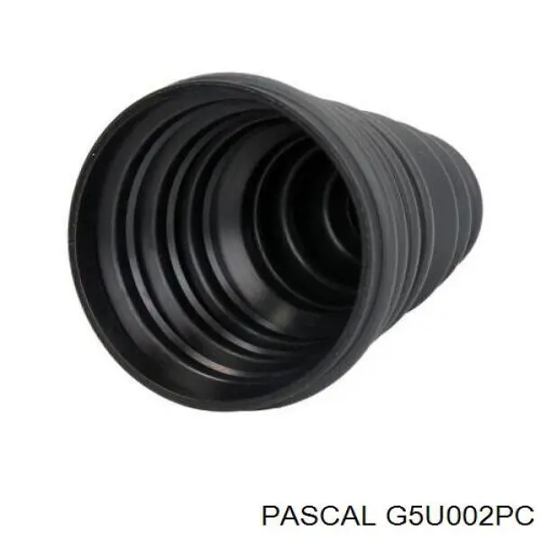 G5U002PC Pascal