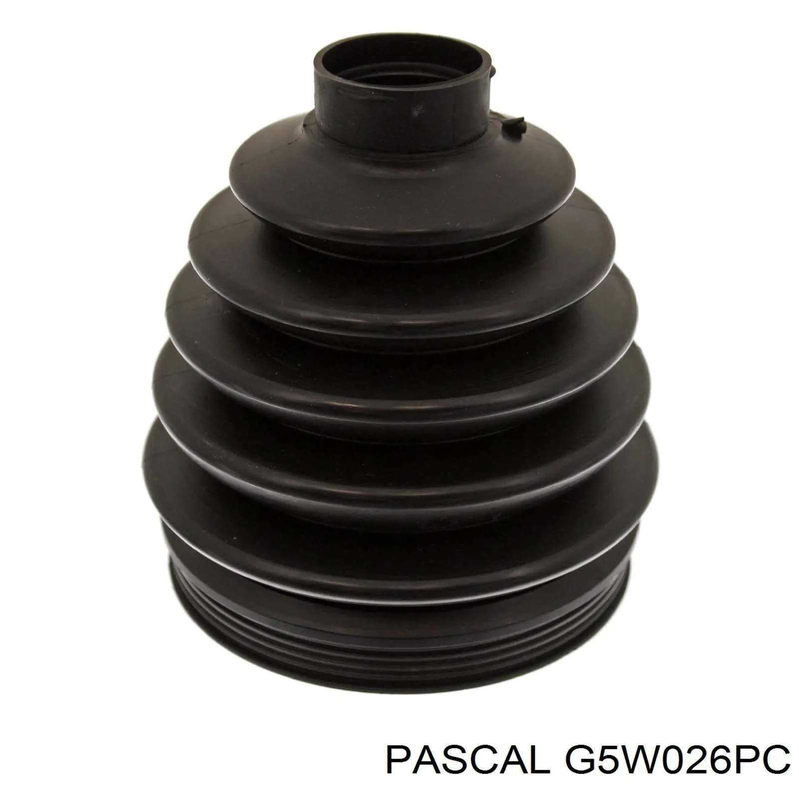 Купить G5W026PC Pascal Пыльник гранаты наружный, передний