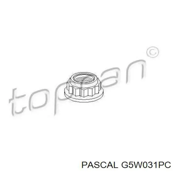 Купить G5W031PC Pascal Пыльник ШРУСа задней полуоси наружный