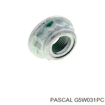 G5W031PC Pascal Пыльник шарнира угловых скоростей наружный задний