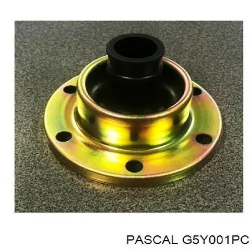Купить G5Y001PC Pascal 