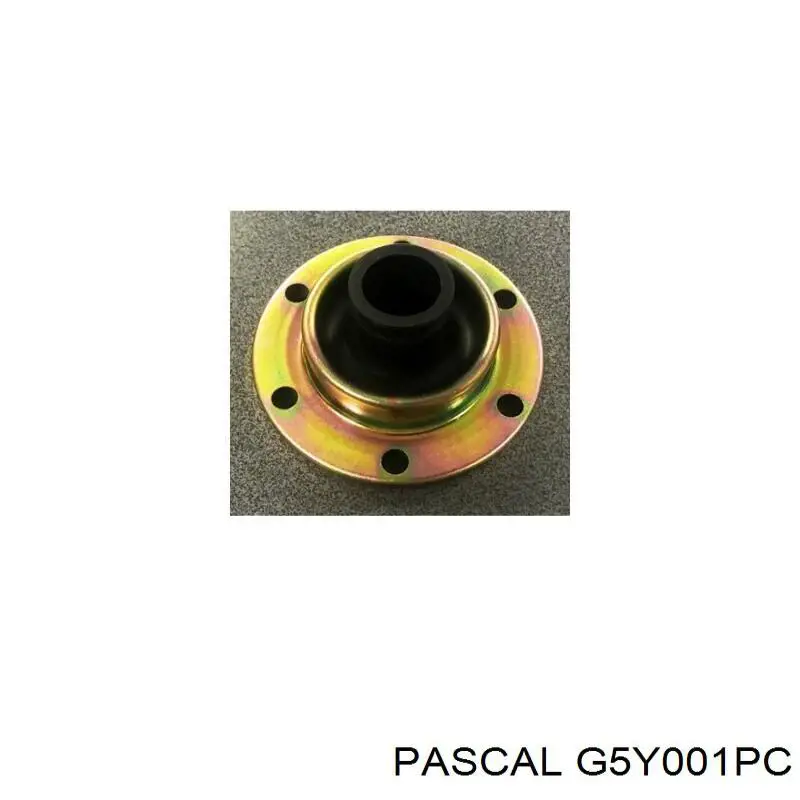  Pascal G5Y001PC цена, от 12.09 USD