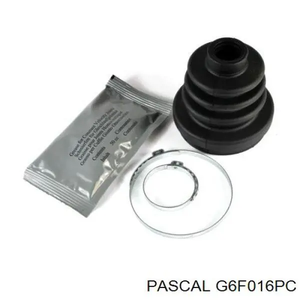 G6F016PC Pascal