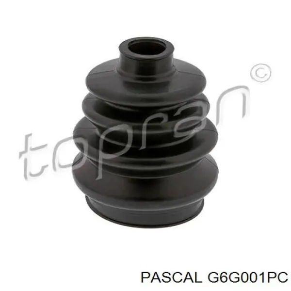 G6G001PC Pascal