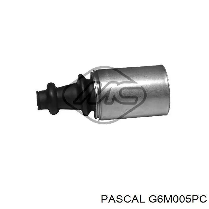 Купить G6M005PC Pascal Пыльник гранаты внутренний, передней полуоси