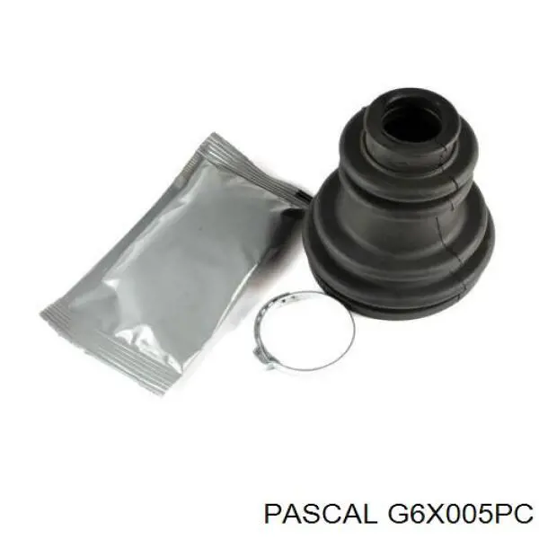 G6X005PC Pascal