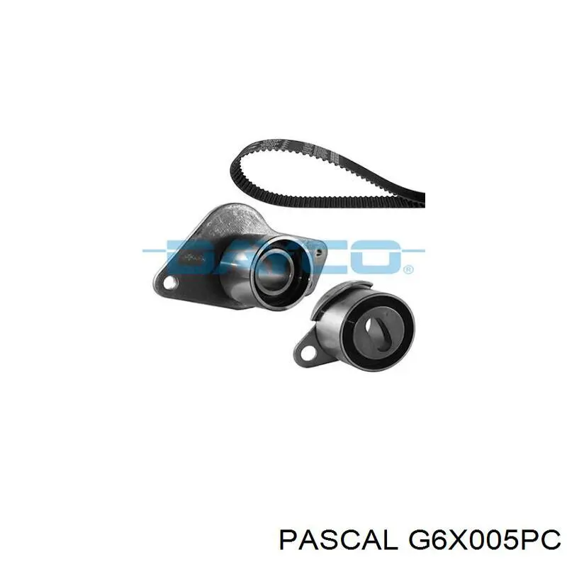 Купить G6X005PC Pascal Пыльник ШРУСа внутренний, передней полуоси, правый