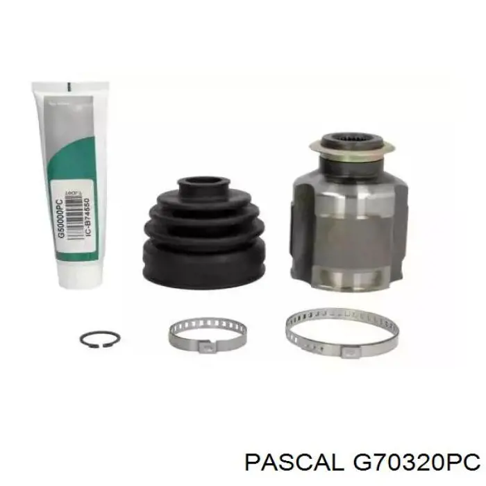  Pascal G70320PC цена, от 37.10 USD