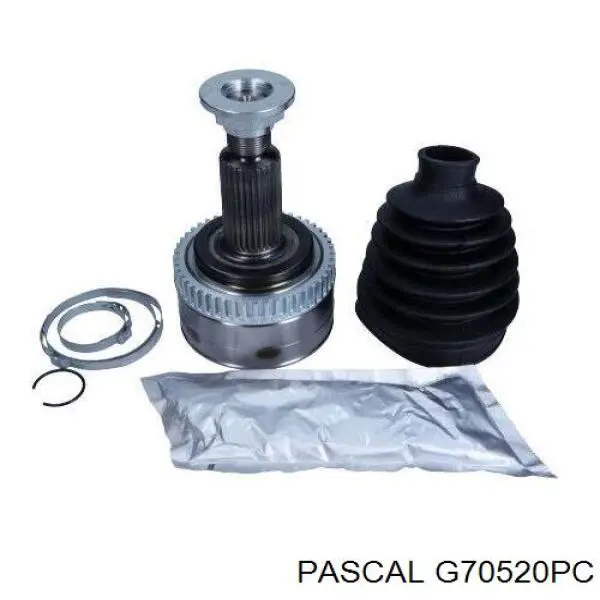 Купить G70520PC Pascal 