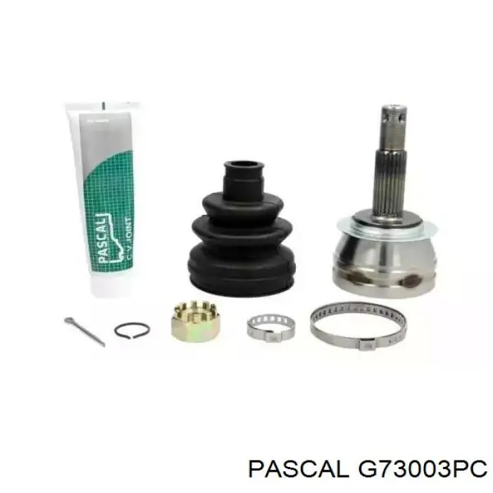 Купить G73003PC Pascal ШРУС внешний передний, левый