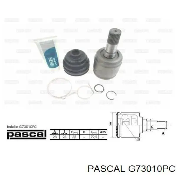 G73010PC Pascal