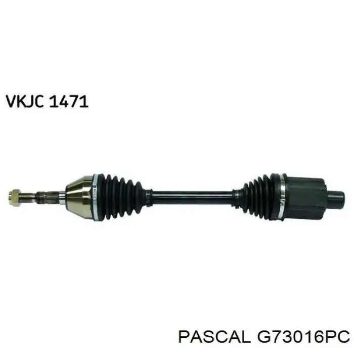 G73016PC Pascal Граната внутренняя передняя левая