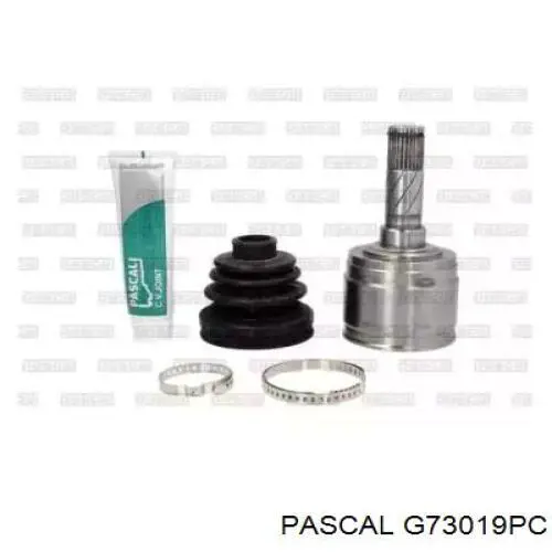 Pascal G73019PC цена, от 43.37 USD
